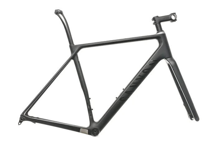 Canyon Endurace CF SL Disc Medium Frameset – 2019